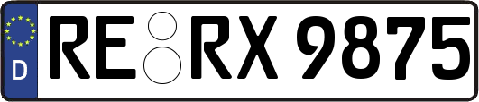 RE-RX9875