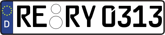 RE-RY0313