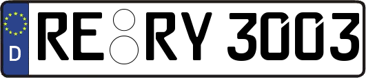 RE-RY3003