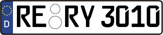 RE-RY3010