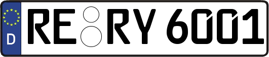 RE-RY6001