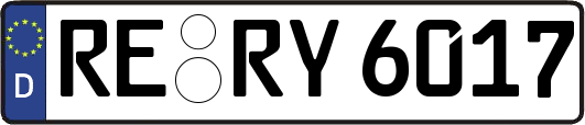 RE-RY6017