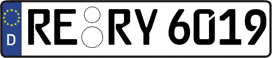 RE-RY6019