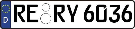 RE-RY6036