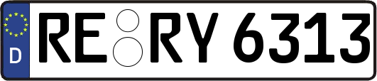 RE-RY6313