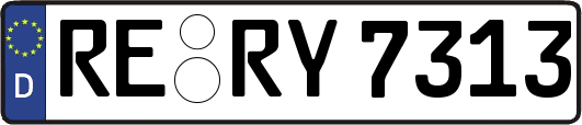 RE-RY7313