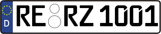 RE-RZ1001