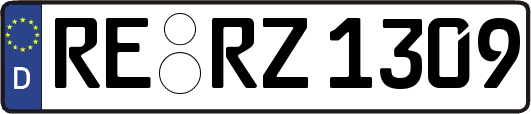 RE-RZ1309