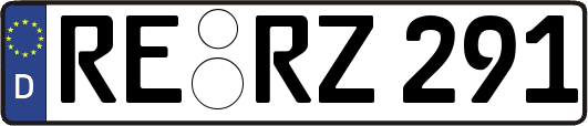 RE-RZ291