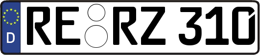 RE-RZ310