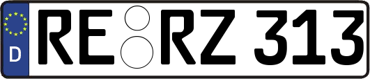 RE-RZ313