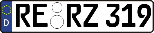 RE-RZ319