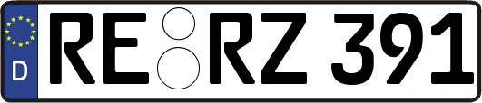 RE-RZ391