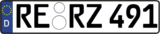 RE-RZ491