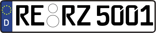 RE-RZ5001