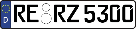 RE-RZ5300