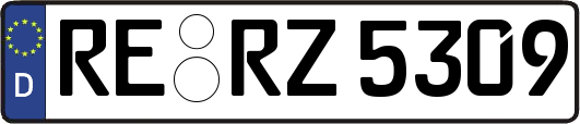 RE-RZ5309