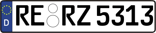 RE-RZ5313