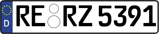 RE-RZ5391