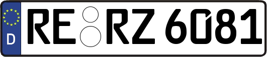 RE-RZ6081