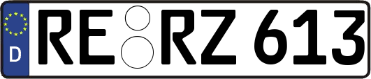 RE-RZ613