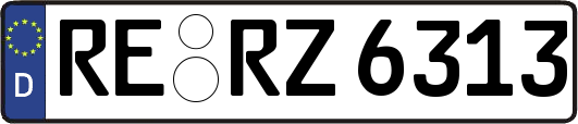 RE-RZ6313