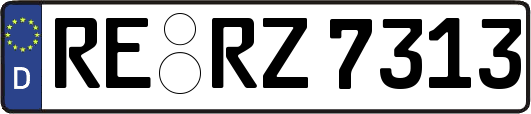 RE-RZ7313
