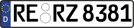 RE-RZ8381