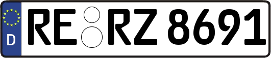 RE-RZ8691