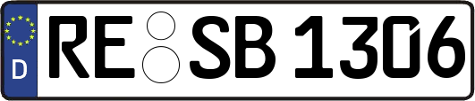 RE-SB1306