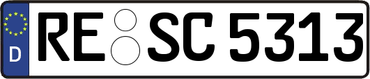 RE-SC5313