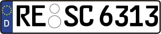 RE-SC6313