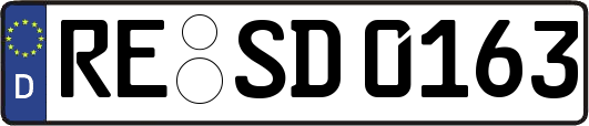 RE-SD0163