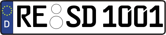RE-SD1001