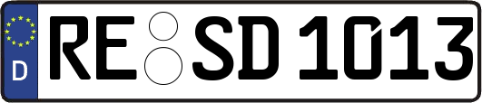 RE-SD1013