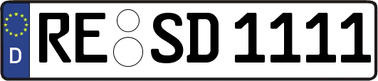 RE-SD1111