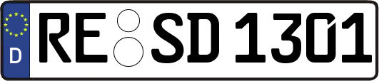 RE-SD1301