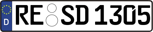 RE-SD1305