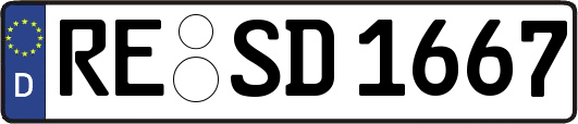 RE-SD1667