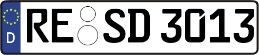 RE-SD3013