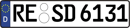 RE-SD6131