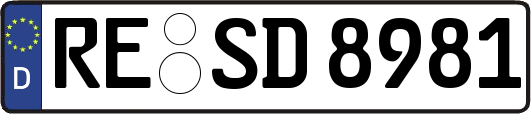 RE-SD8981