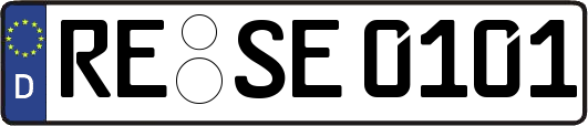 RE-SE0101