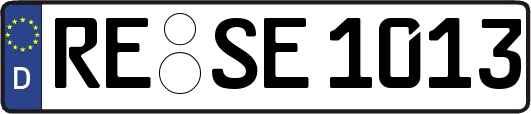 RE-SE1013
