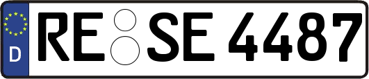RE-SE4487