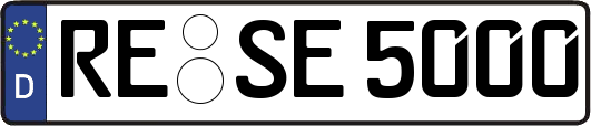 RE-SE5000