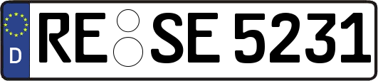 RE-SE5231