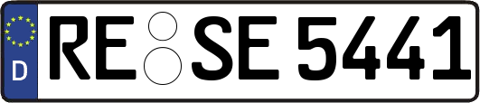 RE-SE5441
