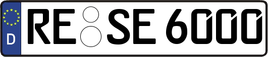 RE-SE6000