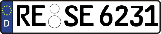 RE-SE6231